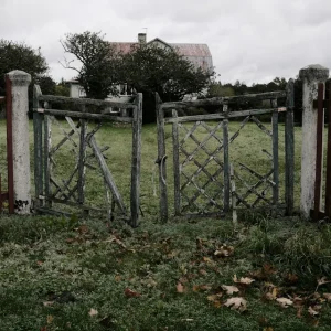 användning av äldre tiders bouppteckningar i släktforskning