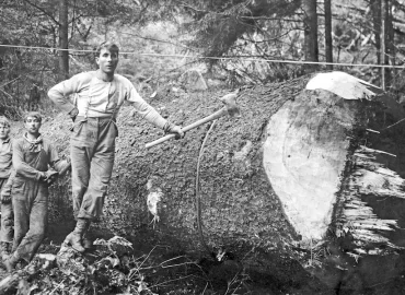 forskning i släktens gamla arbetstillstånd och yrkeslegitimationer