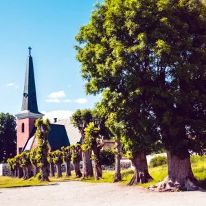 Forskning i släktens gamla dödsregister