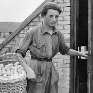 Forskning i släktens gamla handelsförbindelser