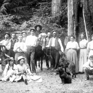 hur man tolkar och använder gamla invandringshandlingar