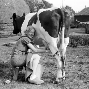 jordbruksverksamheter