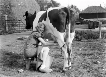 jordbruksverksamheter