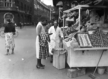 Upptäcka invandrade förfäder