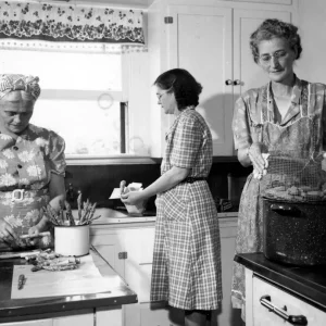 användning av fotografier och deras historia i släktforskning