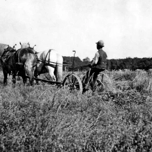 att upptäcka släktens gamla bosättningar genom historiska kartor