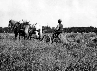 att upptäcka släktens gamla bosättningar genom historiska kartor