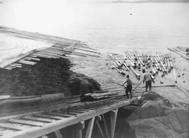 forskning i släktens kopplingar till historiska händelser