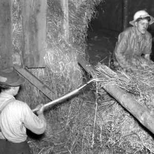 hur man använder arkiv för släktforskning