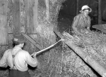 hur man använder arkiv för släktforskning
