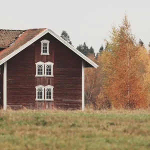 användning av äldre tiders folkräkningar i släktforskning