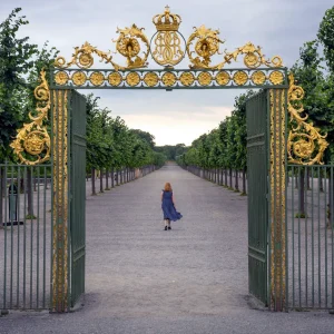 att forska i adels- och kungliga släkter