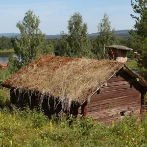 att forska i släktens gamla mantalslängder