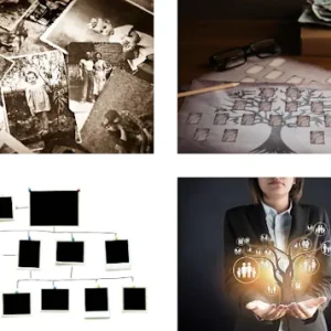 Hur man bygger ett släktträd online