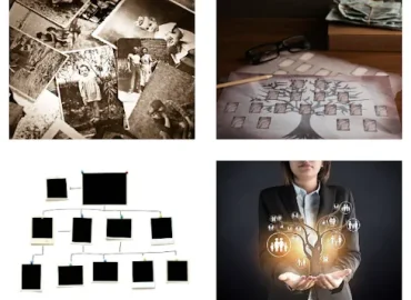 Hur man bygger ett släktträd online