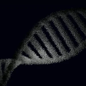 DNA-test för släktforskning - jämförelse av priser, databaser och funktioner 2026