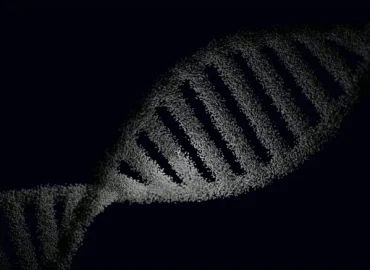 DNA-test för släktforskning - jämförelse av priser, databaser och funktioner 2026
