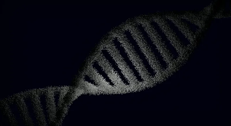 DNA-test för släktforskning - jämförelse av priser, databaser och funktioner 2026